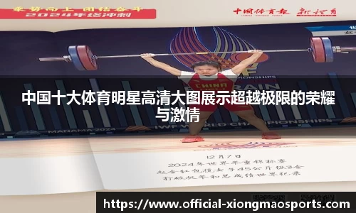 中国十大体育明星高清大图展示超越极限的荣耀与激情